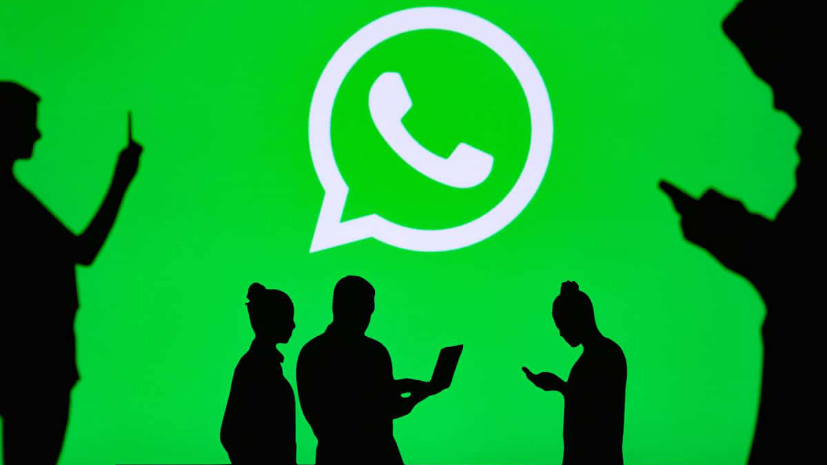 营销推广运营人员怎么用WhatsApp即时聊天软件从平台流量池引流获客